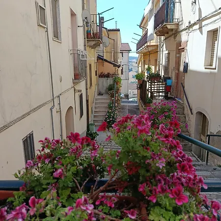 Il Girasole Appartement *